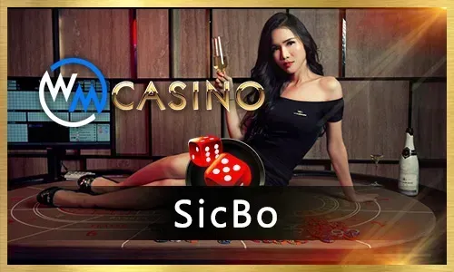 Live Casino Experience